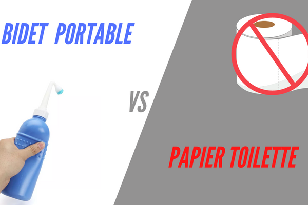 Bidet vs Papier Toilette : Quel est le plus Propre ?