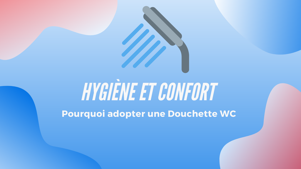 Douchette hygiène WC + Support mural –